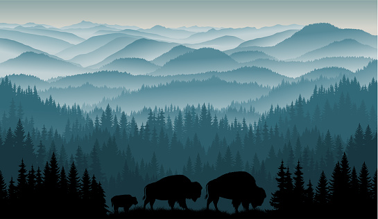 vector morning in mountains with family of brown zubr buffalo bisons with kid