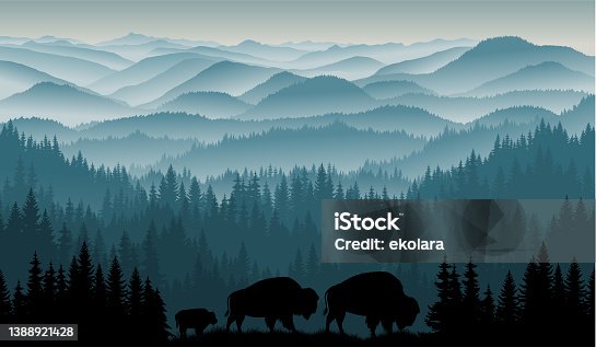 istock vector morning in mountains with family of brown zubr buffalo bisons with kid 1388921428
