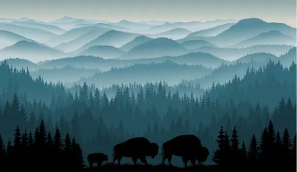 Vector illustration of vector morning in mountains with family of brown zubr buffalo bisons with kid