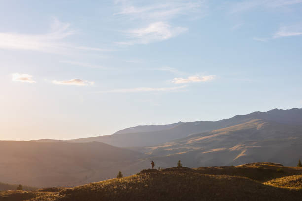 Tourist with camera on sunlit gold grassy hill with dirt road with view to high mountains. Beautiful sunny landscape with man in mountains. Colorful scenery with traveler on hill in golden sunlight. turista con cámara en la colina de hierba dorada iluminada por el sol con camino de tierra con vistas a las altas montañas. hermoso paisaje soleado con el hombre en las montañas. paisaje colorido con viajero en la colina a la luz del sol dorado.