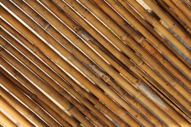 竹のフェンス、外装、自然の背景 - picket line 写真 ストックフォトと画像
