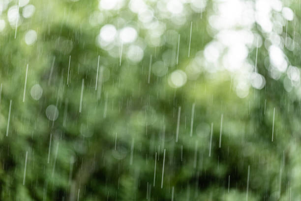 Rain in the summer garden. Unfocused background with falling raindrops.