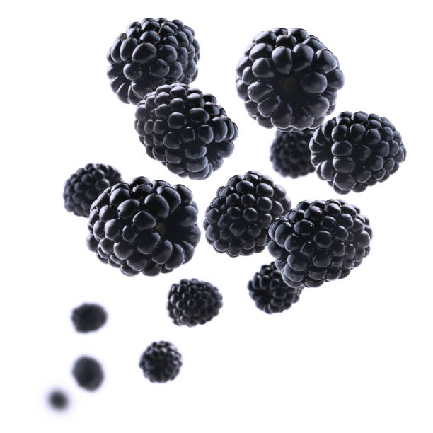 istock Ripe blackberries levitate on a white background 1388926852