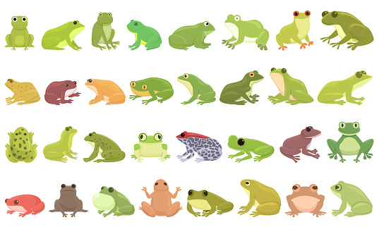 Frog icons set cartoon vector. Toad water. Tadpole catch