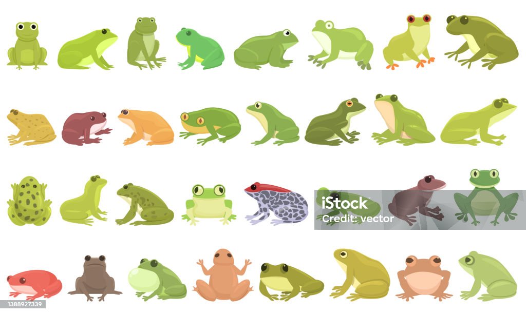 Frog Icons Set Cartoon Vector Toad Water Stock Illustration - Download  Image Now - Frog, Illustration, Toad - iStock
