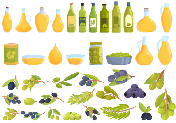 ilustraciones, imágenes clip art, dibujos animados e iconos de stock de los iconos del aceite de oliva establecen un vector de dibujos animados. alimento para árboles - aceite de oliva