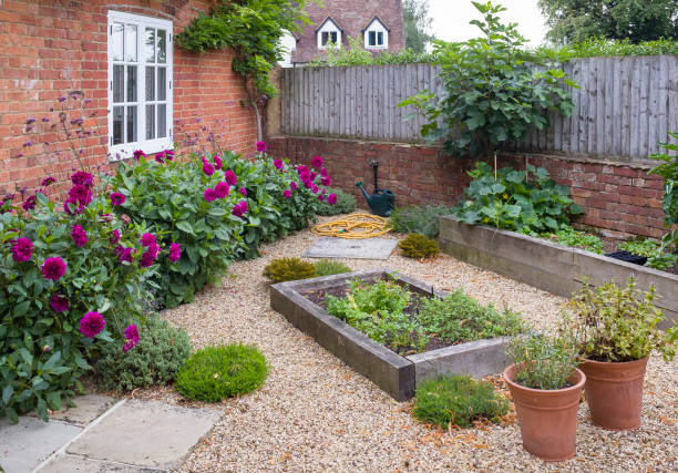 cottage giardino con ghiaia e letti rialzati, regno unito - ornamental garden europe flower bed old fashioned foto e immagini stock