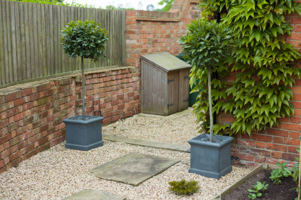 istock Standard bay trees in containers in a landscaped garden, UK 1388928701