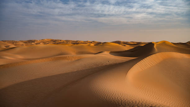 istock Sea of Sand 1388934383