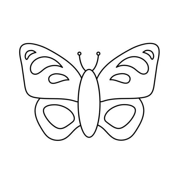 Contour black-and-white drawing of a butterfly. Vector illustration. Coloring page. Contour black-and-white drawing of a butterfly. Vector illustration. Coloring page. simple butterfly outline pictures stock illustrations