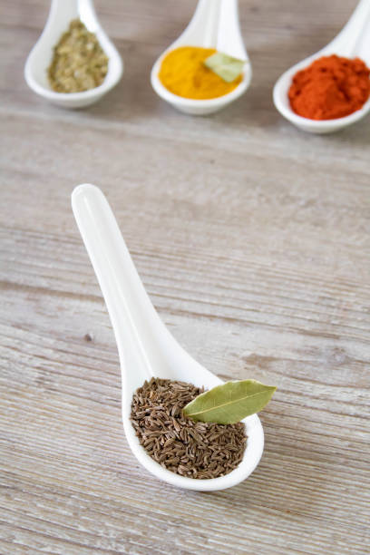 A close-up view of various whole spices and ingredients scattered and arranged on a textured wooden table, featuring a bulb of garlic (Allium sativum), multiple star anise pods (Illicium verum), a cinnamon stick (Cinnamomum verum), whole nutmeg (Myristica fragrans), juniper berries spilling from a metal spoon, scattered ground spice powder, and pine cones (Pinus spp.) for a natural touch. The composition evokes a warm, earthy mood with rich brown, black, and neutral tones, suggesting aromatic flavors and rustic simplicity. Ideal for commercial use in cookbooks, recipe illustrations, food packaging, culinary blogs, restaurant menus, and articles on global spices or home cooking, providing authentic visuals for enhancing content on seasoning, herbal remedies, or gourmet ingredients.