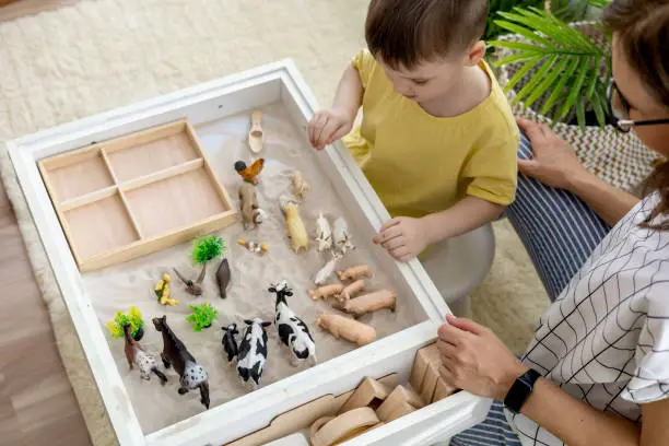 Photo of Montessori material. Little boy with his mom explores the farm animals in the game. Flat lay