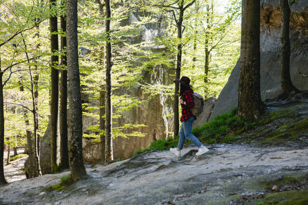 istock woman hiker with backpack walking by forest trail 1388941662