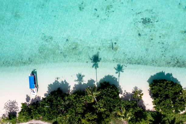 drone punto di vista dell'isola tropicale maiga con palme e mare color turchese - island of borneo foto e immagini stock