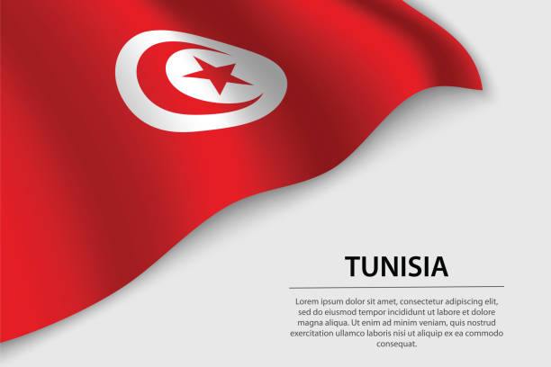 흰색 배경에 튀니지의 파도 플래그. 배너 또는 리본 벡터 템플릿 - tunisia stock illustrations