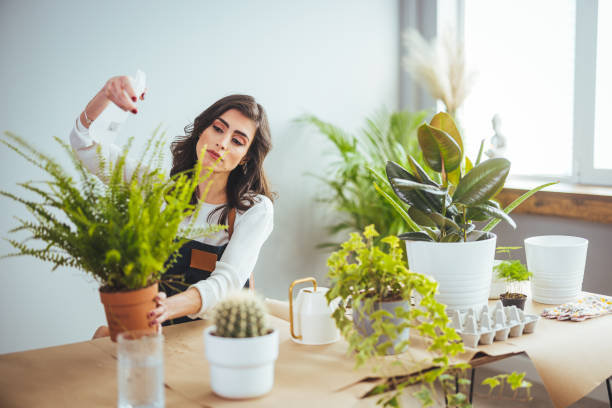 istock Woman caring for house plant 1388946461