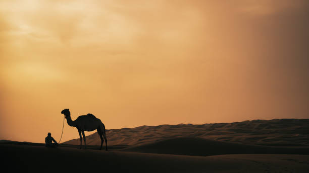 fin del día en el desierto - journey camel travel desert fotografías e imágenes de stock