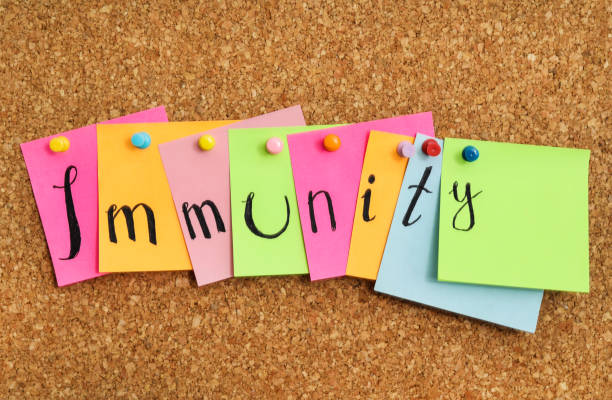 istock Colorful notes with word Immunity pinned to cork board 1388948377