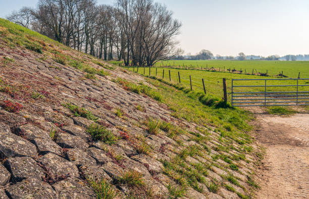 A path next to a water reservoir and a dry field.