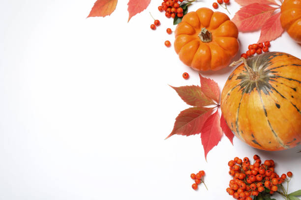 istock Flat lay composition with pumpkins, berries and autumn leaves on white background, space for text. Thanksgiving Day 1388948477