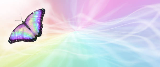 istock Beautiful Rainbow Butterfly message board background 1388949487