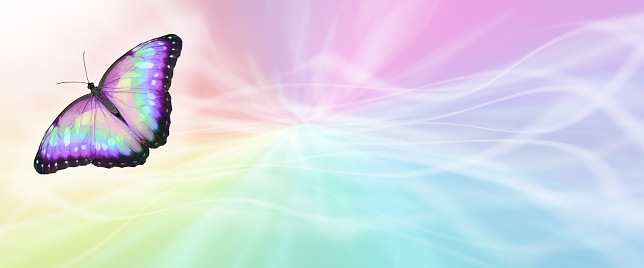 streaming rainbow coloured   background with a rainbow coloured butterfly in left corner and copy space for messages