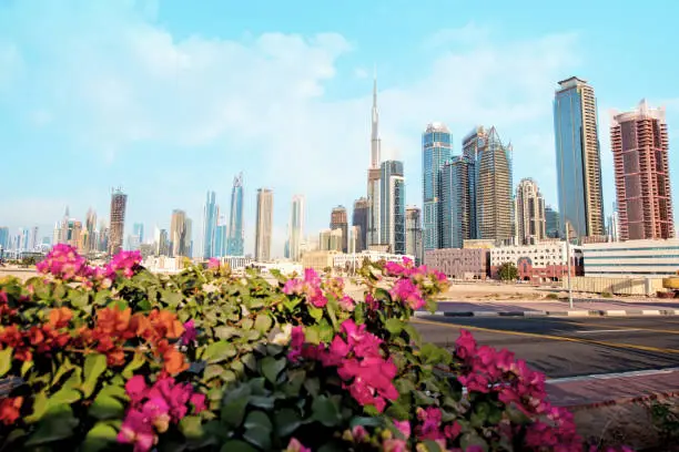 Photo of Charming cityscape with skyscrapers and flowers in the foreground in Dubai, UAE.