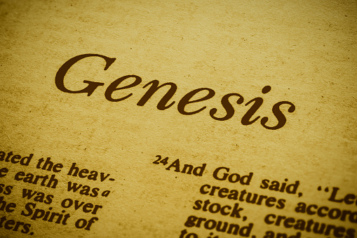 Holy Bible Genesis first page detail