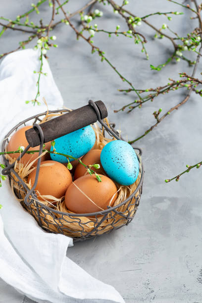 istock easter eggs in a basket with straw, standing among spring branches with young bright juicy green leaves on a gray concrete background 1388953841