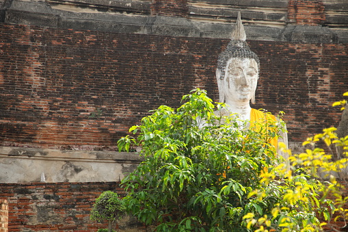 White painted Buddha statue covered yellow cloth with break red brick wall background and green tree in front, Temple in Ayutthaya province, Thailand.