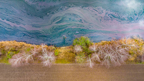 Algal bloom on fish pond - aerial view