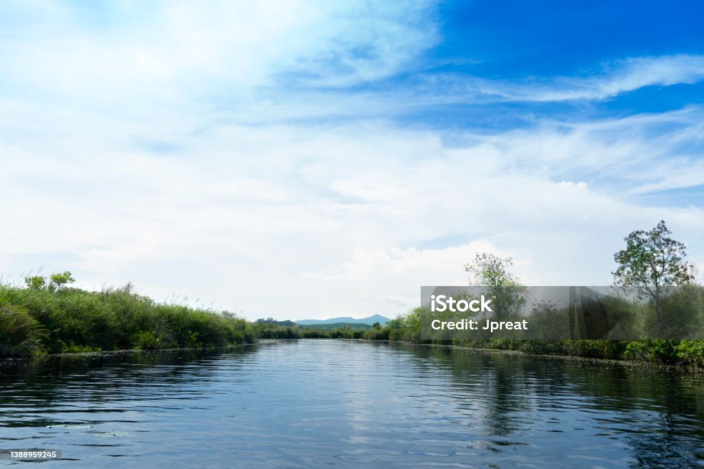 Freshwater basin with high grass cover on both sides. Under the bright blue sky. Freshwater basin with high grass cover on both sides. Under the bright blue sky. At Rayong Provincial East Plant Center of Rayong Thailand. Beauty Stock Photo