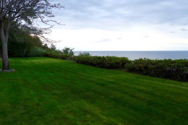istock Deep Green Grass Bank Overlooks Sea 1388962740