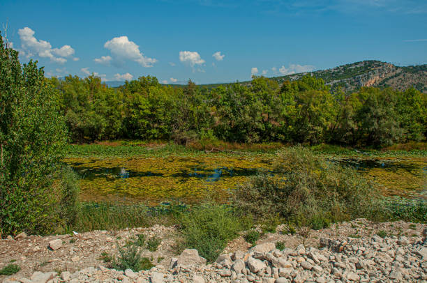 Beautiful Canyon of Moraca River, Montenegro or Crna Gora, Balkan, Europe