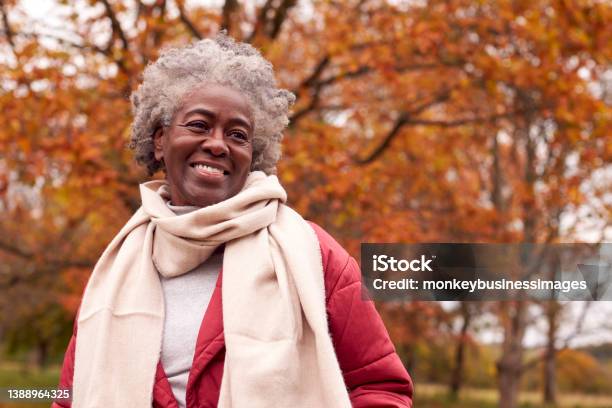 Head And Shoulders Portrait Of Senior Woman On Walk Through Autumn Countryside Against Golden Leaves Stock Photo - Download Image Now