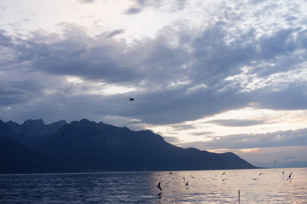 View of Geneva Lake in Switzerland