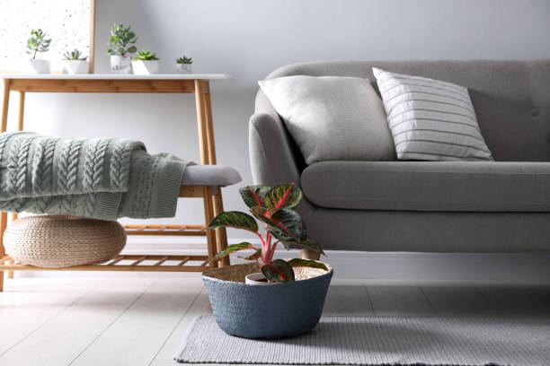 istock Folded knitted blanket on bench near sofa indoors. Home interior 1388968285