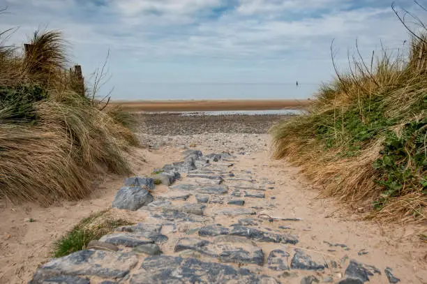Cobbled path leading to Conwy Morfa beach between sand dunes and marram grass