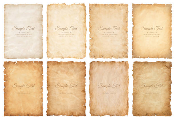 collection set old parchment paper sheet vintage aged or texture isolated on white background collection set old parchment paper sheet vintage aged or texture isolated on white background. treasure map texture stock illustrations