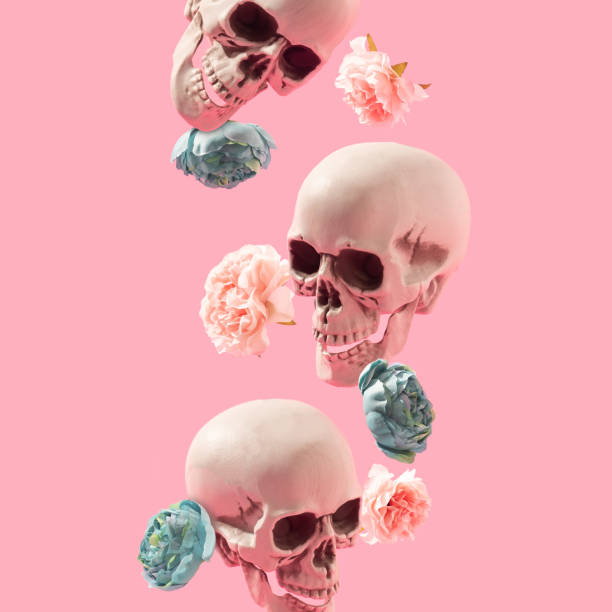 istock Skulls and flowers dropping on the pastel pink background. S 1388974948