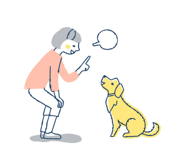 ilustraciones, imágenes clip art, dibujos animados e iconos de stock de mujer joven diciendo orden al perro - mujer agachada perfil