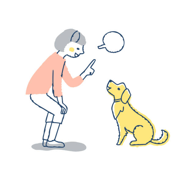 bildbanksillustrationer, clip art samt tecknat material och ikoner med young woman saying command to dog - knähund