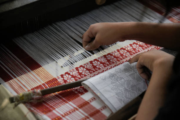 tradycyjny tkacz w indiach - handloom zdjęcia i obrazy z banku zdjęć
