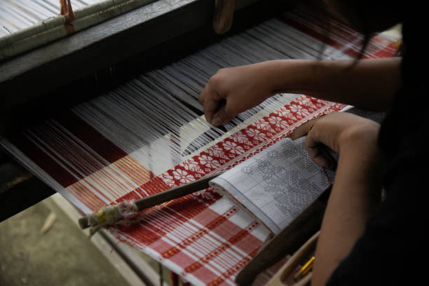 tradycyjny tkacz w indiach - handloom zdjęcia i obrazy z banku zdjęć