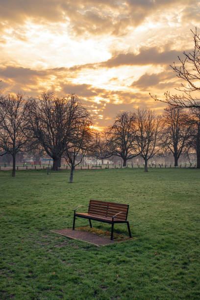 istock The lonely bench in the autumn forest 1388983334