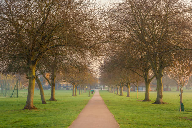 istock Avenue of Trees 1388983823