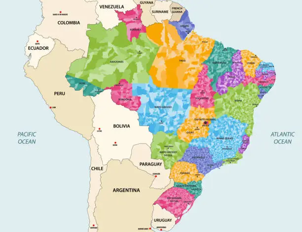 Vector illustration of Brazil states and municipalities vector high detailed colored map with neighbouring countries and territories