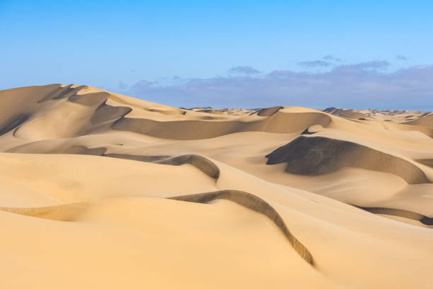 istock Namibia, the Namib desert 1388984929