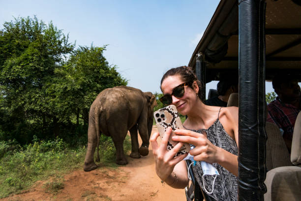 istock Udawalawa, Sri Lanka, 1388985695