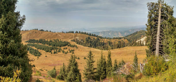 istock Mountain road on a mountain pass 1388987221